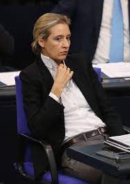 Broder findet die reaktionen überzogen. Alice Weidel Memes Weidelmemes Twitter