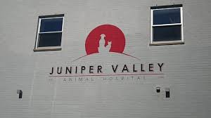 At middle valley animal hospital, we understand that your pets are an important part of your life. Juniper Valley Animal Hospital 64 14 69th Pl Middle Village Ny 11379 Usa