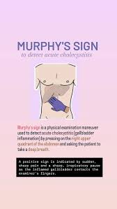 Image result for Murphy Sign