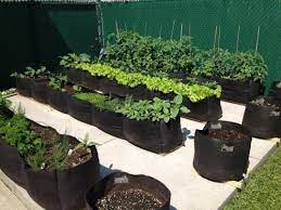 Smart Pot Big Bag Raised Bed Long 6 Ft Grow Bags Container Gardening Hydroponic Supplies