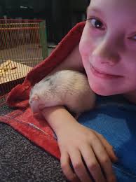 boxer loses battle with illness at 11 years