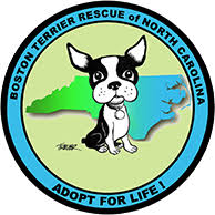 Greensboro, nc (gbo) harrisburg, pa (hrs) harrisonburg, va (shd) hartford, ct (htf) hudson valley, ny (hud). Boston Terrier Rescue Greensboro Nc