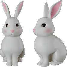 Image result for tbn:nuNU7FPK4A54yM::rvforsaleguide.com/images/bunny-resting-picture.jpg