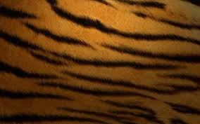Looking for the best wallpapers? Mac Os X Tiger Wallpapers Wallpaper Cave