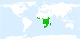 Image result for Elaphoglossum acrostichoides