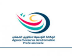 Wataniya 1 watanya 2 el hiwar ettounsi attasia tv nessma tv hannibal tv tunisna tv france 24 arabe france 24 francais dw arabic tv al jazeera alarabiya al mayadeen tunisie360.net; Agence Tunisienne De La Formation Professionnelle Government Body From Tunisia Training Sector Developmentaid