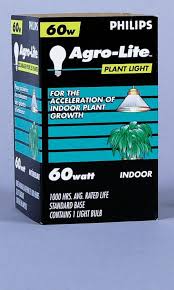 Home depot canada grow lights. Philips 60w A19 Plant Light The Home Depot Canada Plant Lighting Plants Plant Growth