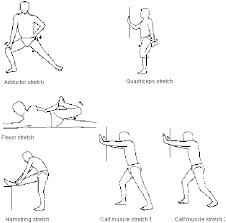 The purpose of dynamic stretching is therefore to improve flexibility before performing any sport, running, cycling, or other aerobic activity. Need To Remember To Use Hip Stretching Exercises Workout Warm Up Hip Flexor