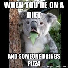 Diet Meme Google Search Koala Meme Koala Bear Cute Animals