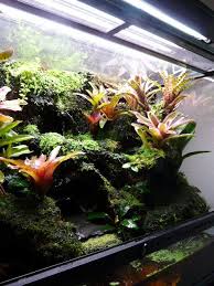 Revolutions 36x18x24 Exo Terra Update Dendroboard Reptile Tank Dart Frog Vivarium Gecko Terrarium