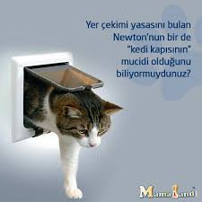 Kedi Kapisi Deyip Gecmeyin Kedi
