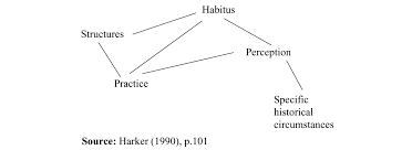 Pierre Bourdieu S Habitus Academic Writing Sociology Words Quotes