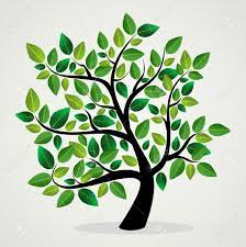 Pikbest have found 15734 great family tree background for website,desktop and advertisement design. Family Tree Wallpapers Wallpaper Cave