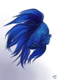 Betta Fish Prism By Heatherschoff On Deviantart Betta Fish Tattoo Fish Drawings Watercolor Fish