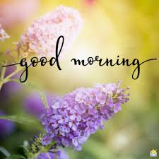 Maybe you would like to learn more about one of these? 79 Good Morning Images With Flowers Have A Beautiful Day