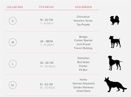 Dog Collar Sizes By Breed Goldenacresdogs Com