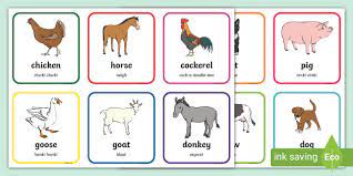 Ensure that there is adequate food for the animals to be able to breed. Farm Animal Flashcards Twinkl Resources