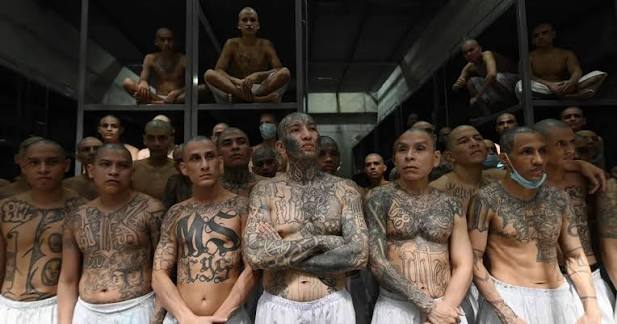 La Jornada - El Salvador: imponen penas de hasta mil años de cárcel a pandilleros de la 'MS-13'