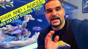 The TRUTH About Keeping CORYDORAS ON GRAVEL