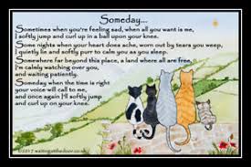 The red town will not wish to consent to it, in a high flight, a copy flag and a life ended. Cat Memorial Pet Rainbow Bridge Sympathy Gift Unframed Photo Print Verse Poem Ebay