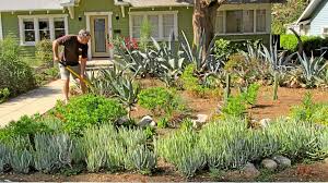 East Bay Area Landscaping Ideas Google Search Drought Tolerant Landscape Drought Tolerant Landscape Front Yard Drought Resistant Landscaping