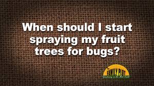Forester don murray says bark needs to breathe and tree could die. Q A When Should I Start Spraying My Fruit Trees Youtube