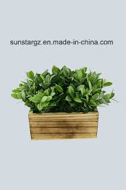 Check spelling or type a new query. China Plastic Sage Leave Fake Flower Artificial Plant With Wooden Pot For Home Decoration 51109 China Silk Flowers And Artificial Tree Price