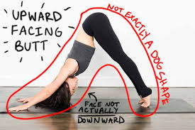 11 Slightly More Accurate Names For Yoga Poses Funny Yoga Poses Yoga Poses Names Yoga Poses