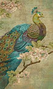 We Who Heart Peacocks Peacock Painting Peacock Art Art