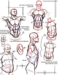 Package dimensions 40 x 3.1 x 3.1 inches item weight 1.5 pounds manufacturer poster foundry asin b07jbcvm1p customer reviews. Character Design Collection Male Anatomy Character Design Anatomy Art Guy Drawing