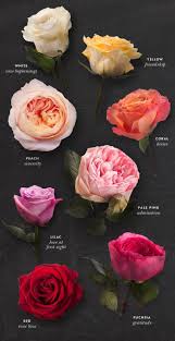 Check spelling or type a new query. 36 Flower Meaning Ideas Flower Meanings Language Of Flowers Flowers
