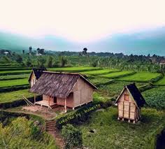 Hal ini dikarenakan jika kamu melihat pada atap bagian belakang sampai ke tepi, bentuknya sangat mirip rumah adat kasepuhan jawa barat berbentuk istana yang dibangun sejak tahun 1527 oleh pangeran cakrabuana. 87 Gambar Rumah Adat Sunda Badak Heuay Hd Gambar Rumah