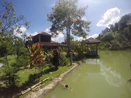 Berikut kami maklumkan untuk anda hotel murah di janda baik lengkap dengan alamat. 10 Tempat Penginapan Homestay Menarik Di Janda Baik Tak Sampai Sejam Dari Kl
