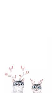 Check spelling or type a new query. Cat Wallpaper Iphone Tumblr Sahara