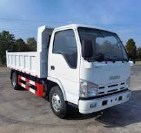 Isuzu 5 Tons 4x2 Small Cargo Trucks Isuzu 10 Tons Dump Truck for Sale
