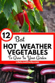 Radish sparkler is a mild vegetable with white flesh and great snappy flavor. 12 Best Hot Weather Vegetables To Grow In Your Garden Life Is Just Ducky