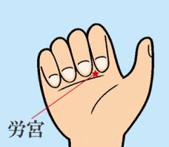 矯正治療中のオススメ食べ物 | 福岡市西区の智治矯正歯科