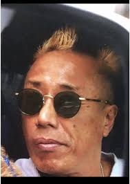 ゴールデンカムイ 全31巻+公式ファンブックセット長渕剛 GLCO サングラス 純正ピュアグリーン