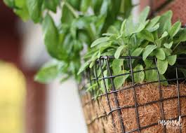 Jars or vintage tea cups are also a place where you can plant your herbs. Vertical Herb Garden Super Simple And Easy Diy Project