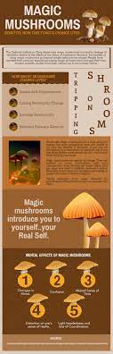 Pin On Growing The Best Mushrooms