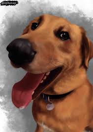 There are a few important things to remember and prepare for when taking. Hunter Pet Portrait Painting Timelapse Ophanap Finished Works Forums Cubebrush