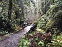 It is located in little river, but it is also fairly close to mendocino. Hiking Trails Near Van Damme State Park