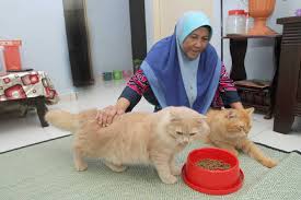 Gambar mewarnai anna dan elsa frozen. Gemar Bela Kucing Gergasi