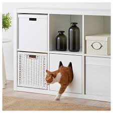 Ikea Kallax Katzenhaus Katzen Haus Katzenhaus Katzenzimmer