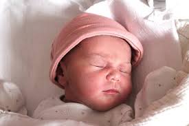 Fotogalerie: Miminka Karlovarský kraj, 5. týden roku 2025