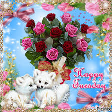 Relevant newest # happy tuesday # happy tuesday # happy tuesday # happy tuesday # color # tuesday # tues # tuesdays # happy tuesday # hello # morning # breakfast # kitchen # bread # happy tuesday # love # dogs # hearts # i love. White Puppy Happy Tuesday Gif Tuesday Quotes Happy Tuesday Tuesday Gifs Happy Tuesday Pictures Good Morning Wishes Gif Happy Tuesday Quotes