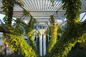 Her gün binlerce yeni, yüksek kaliteli fotoğraf ekleniyor. University Gardens University Of Warsaw