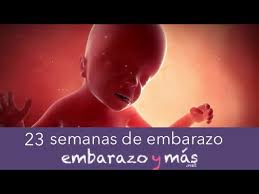 Es muy común entre las embarazadas no saber con exactitud cuánto tiempo llevan de embarazo, y sobre todo no saber a qué mes corresponde cada semana de embarazo. 23 Semanas De Embarazo Sexto Mes Embarazoymas Youtube