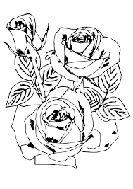 Featured above is a pretty coloring page of some petunia flowers! Parentune Free Printable Rose Coloring Pages Rose Coloring Pictures For Preschoolers Kids