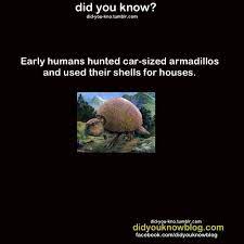 House Hunting Fun Facts Did You Know Early Humans